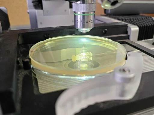 Kruglyak lab supplies.