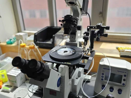 Kruglyak lab supplies.