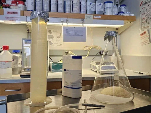 Kruglyak lab supplies.