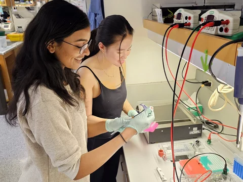 Kruglyak lab members in the lab.
